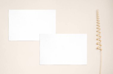 Beyaz davetiye maketi ve kuru sarmaşıktan dekoratif bir dal. Bej arka plan. Boşluğu kopyala.