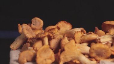 Fresh raw chanterelle mushrooms fall from above into the basket. Smooth camera movement from left to right. Close-up