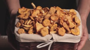 Fresh raw chanterelle mushrooms in a wicker basket close-up on a black background