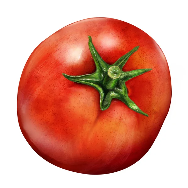 Ilustração de tomate vermelho isolado sobre fundo branco — Fotografia de Stock