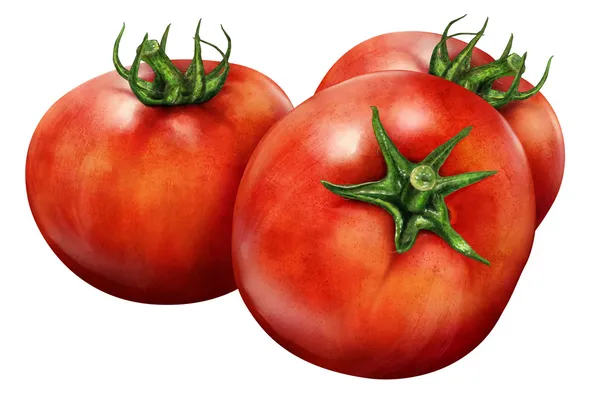 Llustración de tres tomates rojos aislados sobre fondo blanco —  Fotos de Stock