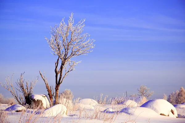 Paesaggio invernale — Foto Stock