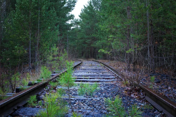 Ancien chemin de fer — Photo