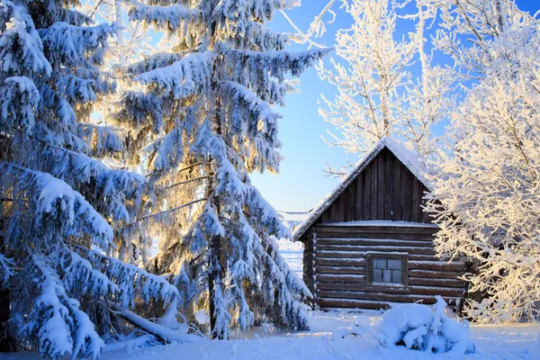 Russische winter — Stockfoto