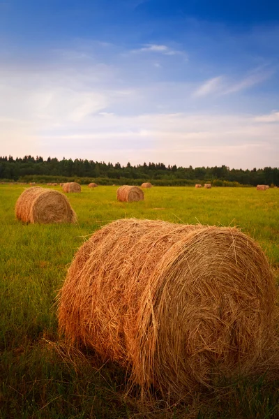 Russian landscape — Stock Photo, Image