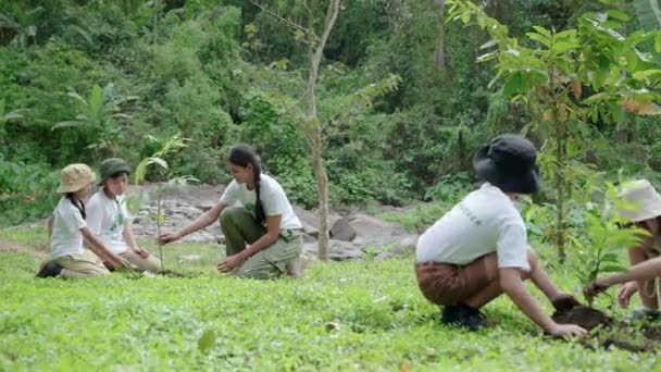 Gyerekek Önkéntesként Csatlakoznak Újraerdősítéshez Földvédelmi Tevékenységekhez Hogy Türelmet Áldozatot Adjanak — Stock videók