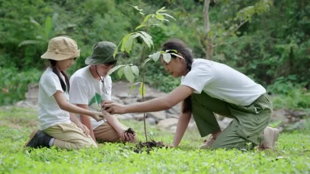 子供たちは森林再生 地球保全活動 子どもたちに忍耐と犠牲の感覚を植え付けるためのボランティアとして参加し 善行と自然を愛する — ストック動画