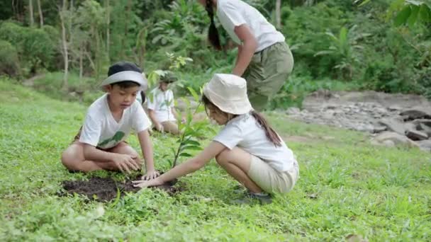 Crianças Juntam Como Voluntárias Para Reflorestamento Atividades Conservação Terra Para — Vídeo de Stock