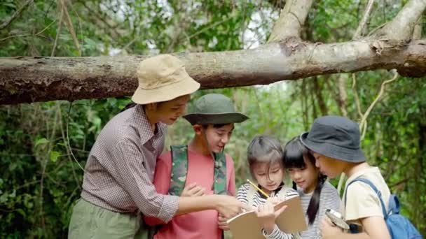 Des Enseignantes Asiatiques Emmènent Des Élèves Sur Sentier Nature Pour — Video