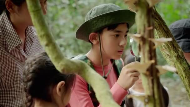 Azjatyckie Nauczycielki Zabierają Uczniów Ścieżkę Przyrodniczą Aby Studiować Przyrodę Prawdziwych — Wideo stockowe