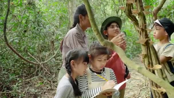 Aziatische Vrouwelijke Docenten Nemen Studenten Mee Een Natuurpad Natuur Bestuderen — Stockvideo