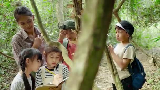 Des Enseignantes Asiatiques Emmènent Des Élèves Sur Sentier Nature Pour — Video