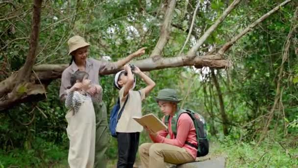 아시아 교사들은 자연의 자취를 학생들을 데리고 모험에서 자연을 공부하고 있습니다 — 비디오