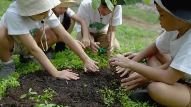 자녀들 식림을 봉사자로서 일하며 자녀들에게 참을성 의식을 랑하는 — 비디오