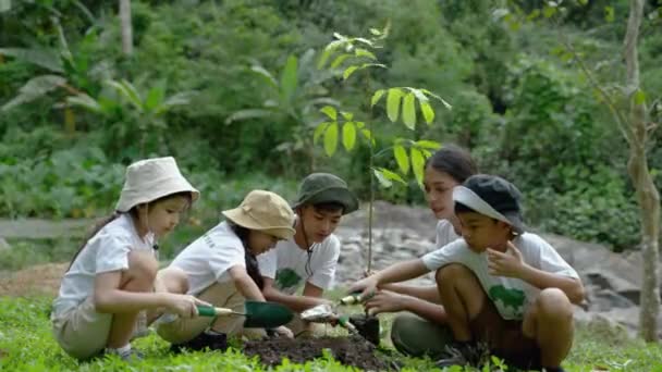 Crianças Juntam Como Voluntárias Para Reflorestamento Atividades Conservação Terra Para — Vídeo de Stock