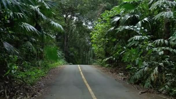 Imagens Estrada Que Atravessa Uma Floresta Tropical País Tropical — Vídeo de Stock