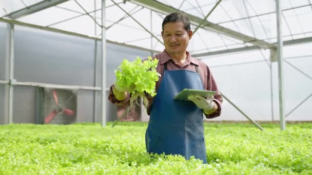 Elderly Asian Gardener Holding Crate Organic Green Oaks Smiles Proudly — стоковое видео