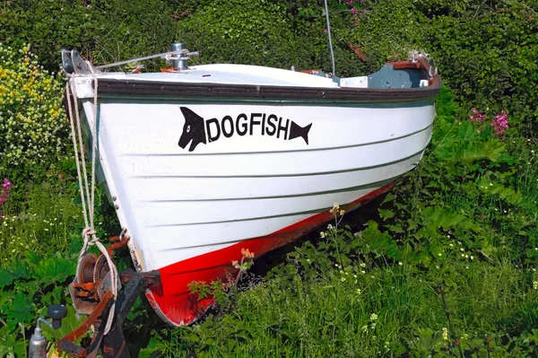 Dogfish Boat Abandoned — Stock Photo, Image