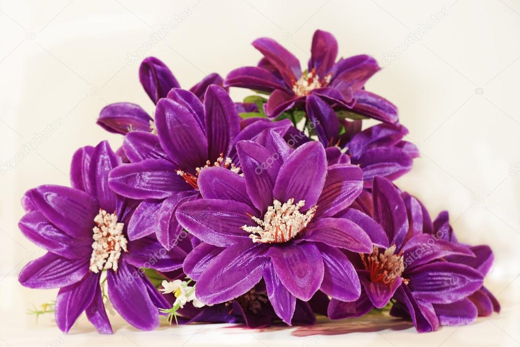 Beautiful purple flowers on a white background