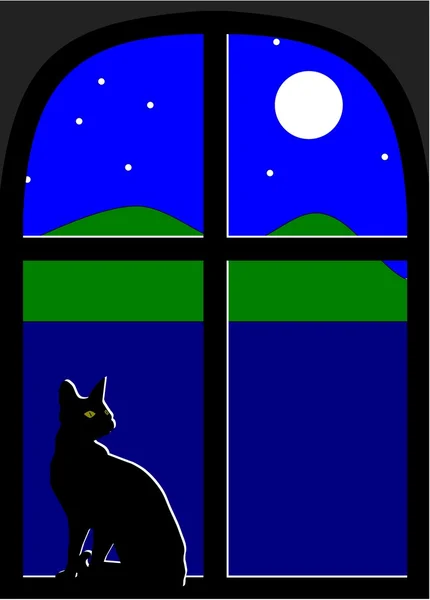 Chat dans la fenêtre la nuit — Image vectorielle