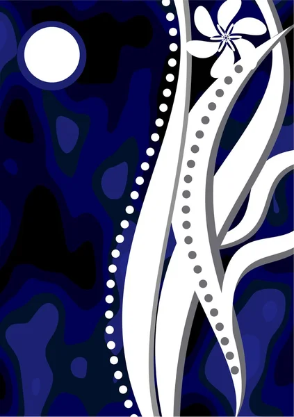 Geceleri vahşi orman yaz ortası günü