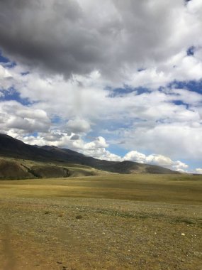 Kurai bozkırı. Altai Dağları. Rusya