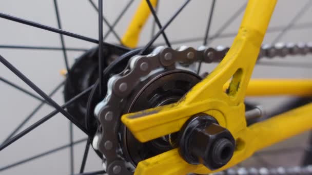 Mecânico gira cadeia de bicicletas depois de lubrificado com cera de parafina. Fechar — Vídeo de Stock