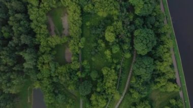 Drone shooting of a green area with high-rise buildings and river in summer