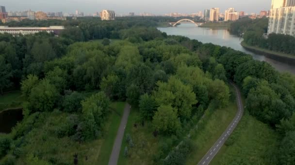 Drone shooting of a green area with high-rise buildings and river in summer — Video Stock