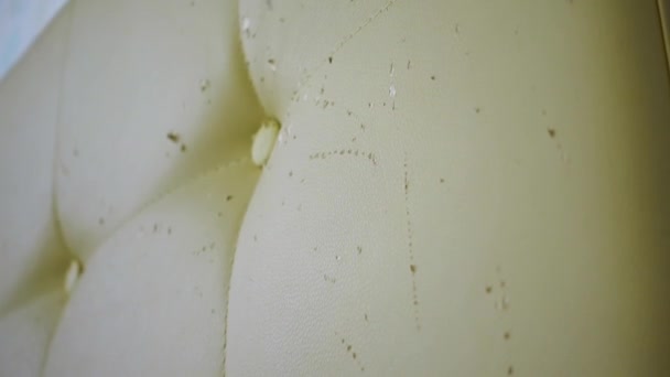 Restaurierung von Möbeln. Rücken eines Bettes aus Leder mit tiefen tierischen Kratzern — Stockvideo