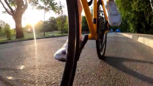 Nohy cyklisty rychle šlape na kole, které jezdí na silnici v létě — Stock video