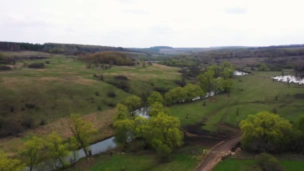 Drone vuela sobre bosque verde, campo, río y pasto en el parque natural nacional — Vídeo de stock