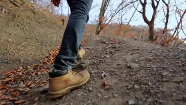 ブナ林の森の小道を歩いている男の足。パス以下のカメラ — ストック動画