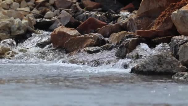 Klares Quellwasser fließt über Felsen und fällt an einem sonnigen Tag in einen Bach — Stockvideo