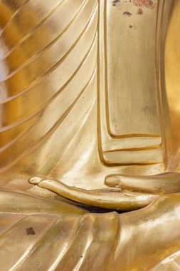 Buda pirinç el closeup.