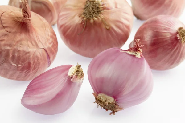 Kleine rote Schalotte — Stockfoto