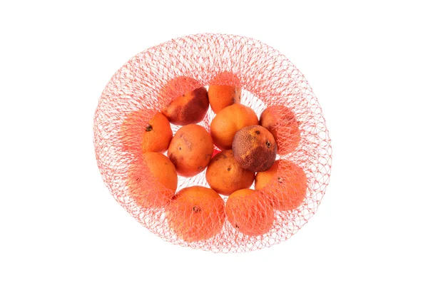 Morsch orange in rotem Netz isoliert auf weiß. — Stockfoto