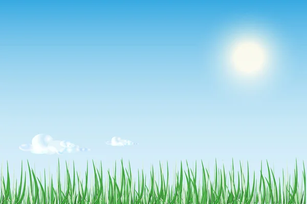 Sole sorgere o tramonto sul campo verde di erba con brillante blu s — Vettoriale Stock