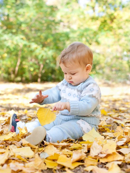 秋に座っている男の子を葉します。 — ストック写真