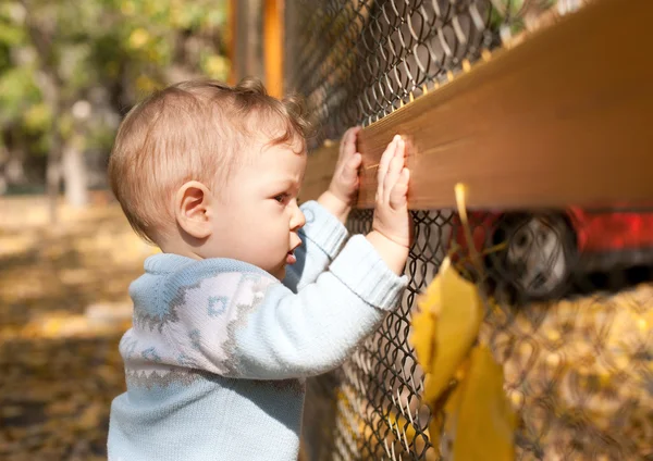 metal çit sonbahar bahçede duran erkek bebek