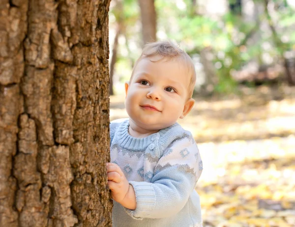 Pojke som står nära träd i höst park — Stockfoto
