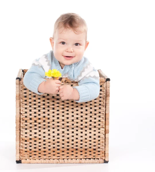 beyaz çiçekli sepet içinde erkek bebek