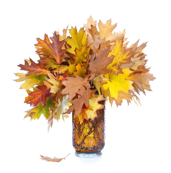 Осіннє листя у вазі ізольовано на білому Стокова Картинка