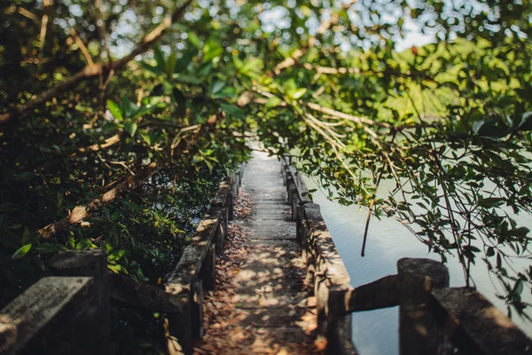 Tropical island bridge