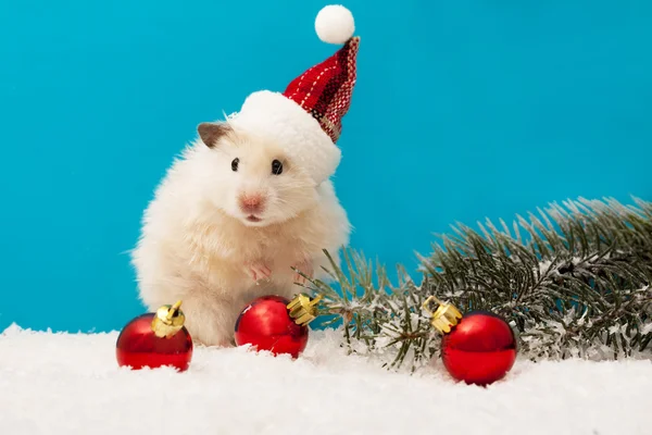 Hamster du Nouvel An avec ballons rouges et sapin de Noël — Photo