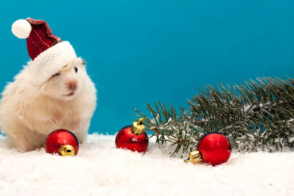 New year's eve hamster met rode ballonnen en de kerstboom Stockfoto