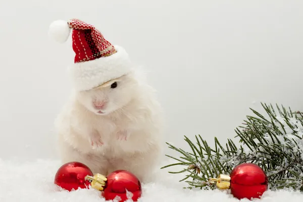 New year's eve hamster met rode ballonnen en de kerstboom Rechtenvrije Stockfoto's