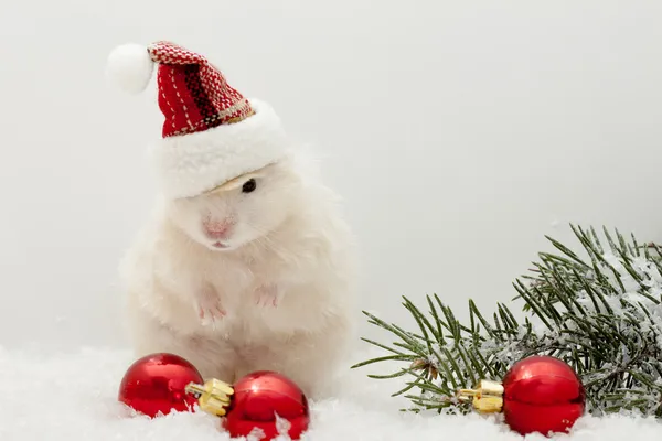 El hámster de Año Nuevo con los globos rojos y el árbol de Navidad Fotos De Stock Sin Royalties Gratis