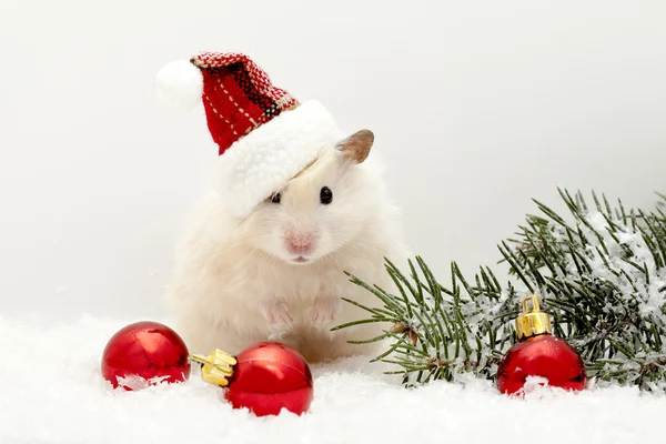 새 해의 이브 햄스터 빨간 풍선와 크리스마스 트리 로열티 프리 스톡 이미지
