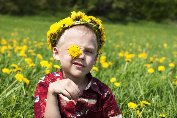 Niño pequeño en el campo de flores — Foto de Stock